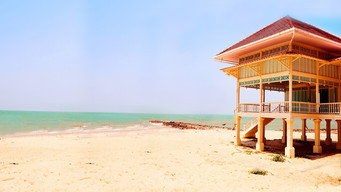 Buying the Beach (2014- )
