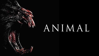 #8 Animal