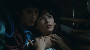 #28 Бум
