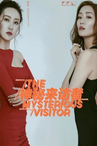 神秘来访者 poster