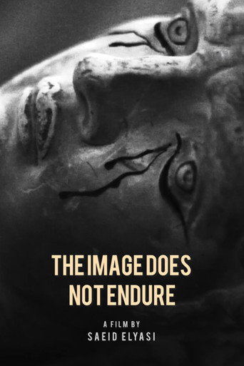 Poster film The image does not endure