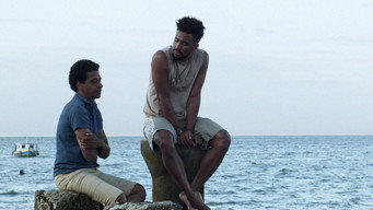 Island media image