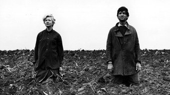 The Girl (1965)
