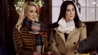 The Mistletoe Secret [L]