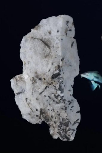 In the Ice, Everything Leaves a Trace poster