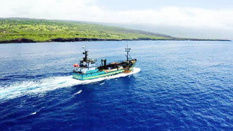 Uncharted Waters