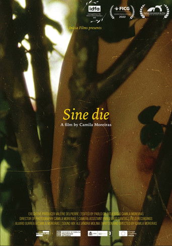 Sine die poster