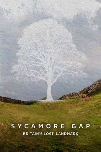 Sycamore Gap: Britain's Lost Landmark poster