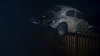 #34 The Love Bug