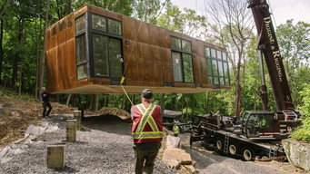 Wild Homes (2026- )