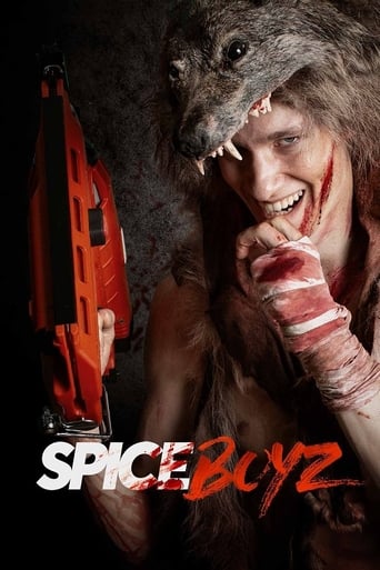 Poster of Spice Boyz