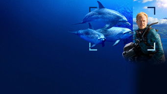 Galeria 5 - Delfines en primer plano con Bertie Gregory