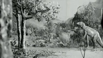 Along the Moonbeam Trail (1920)