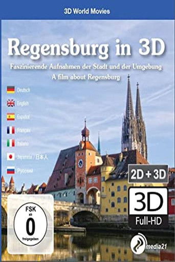 Regensburg in 3D poster