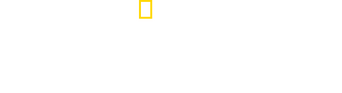 Critter Fixers: Country Vets logo