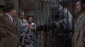 #7 Gorilla at Large