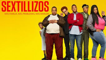 Galeria 5 - Sextillizos