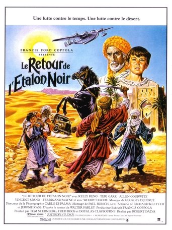 Le Retour de l'Étalon noir en streaming 