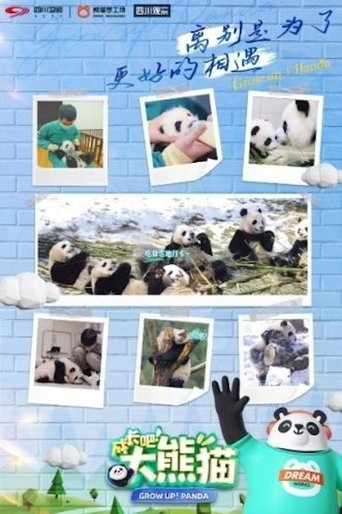 成长吧!大熊猫: Season 1