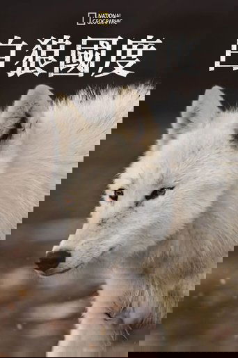 雪狼王国
