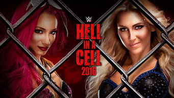 #4 WWE Hell in a Cell