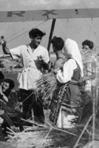 Along the Valley of the Vardar (1950)