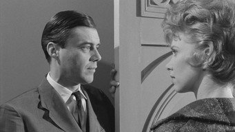 Служник (1963)