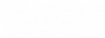 Holly Hobbie logo