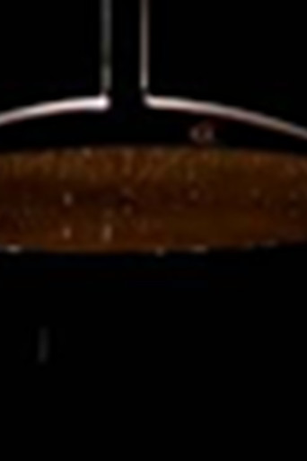 The European Showerbath