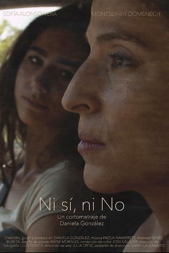 Ni s&iacute;, ni no (2017)