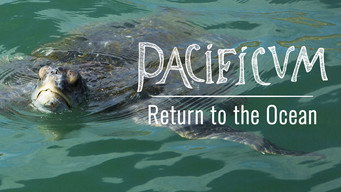 Galeria 2 - Pacificum: El retorno al océano