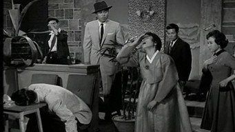 Історія блукань (1960)