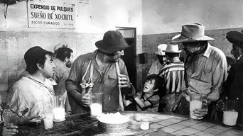 The Bricklayers (1976)