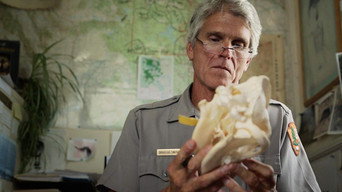 The Trouble with Wolves (2018)