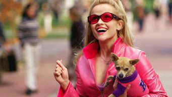 Legally Blonde backdrop 5