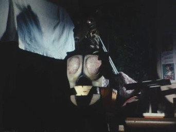 Kamen Rider T6E30