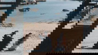 Vivir sin permiso S01E05