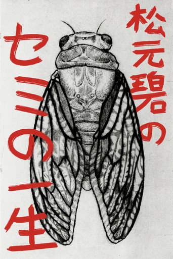 Midori Matsumoto&rsquo;s: The Life Cycle Of A Cicada (2026)