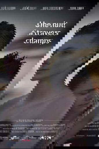 Une nuit, à travers champs (2020)