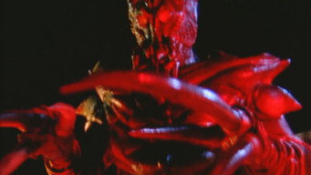 #8 Evil Spawn
