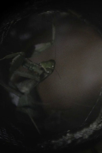 Spaghetti Ramen (2023)