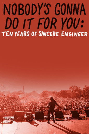 Nobody’s Gonna Do It For You: Ten Years of Sincere Engineer (2025)