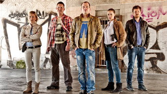 Kriminálka Andel (2008- )