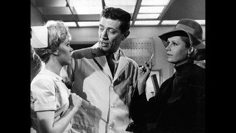 The Nurses (1965)