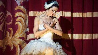 Margot media image