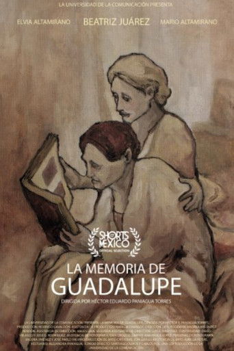 La Memoria De Guadalupe poster