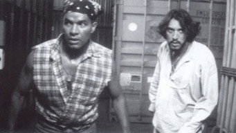 Ship of Dreams (1996)