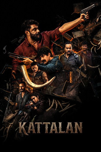 Kattalan — Posters 8