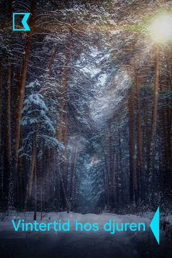 Vintertid hos djuren