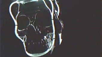 Trick media image